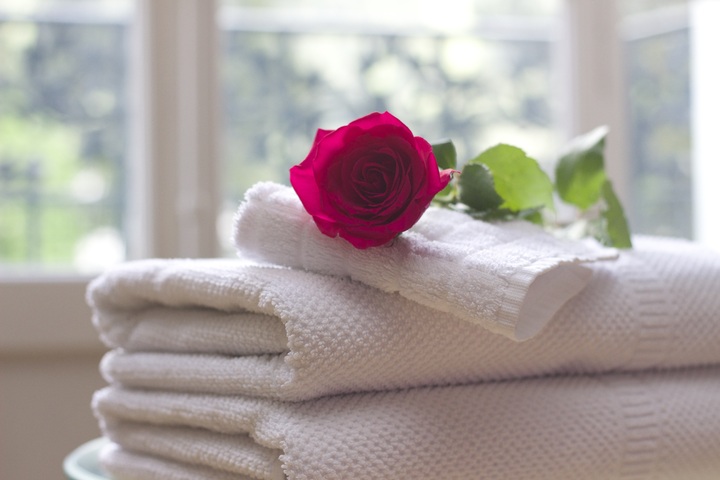 white-flower-petal-rose-relax-clean-731641-pxhere.com (1)