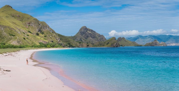 Pink Sands Beach