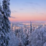 Finland Lapland besneeuwd bos bij paars-roze zonsondergang in Ruka - all inclusive vakantie